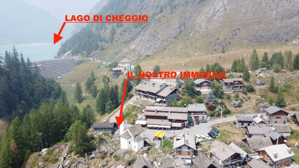 immagine annuncio 3 di 14