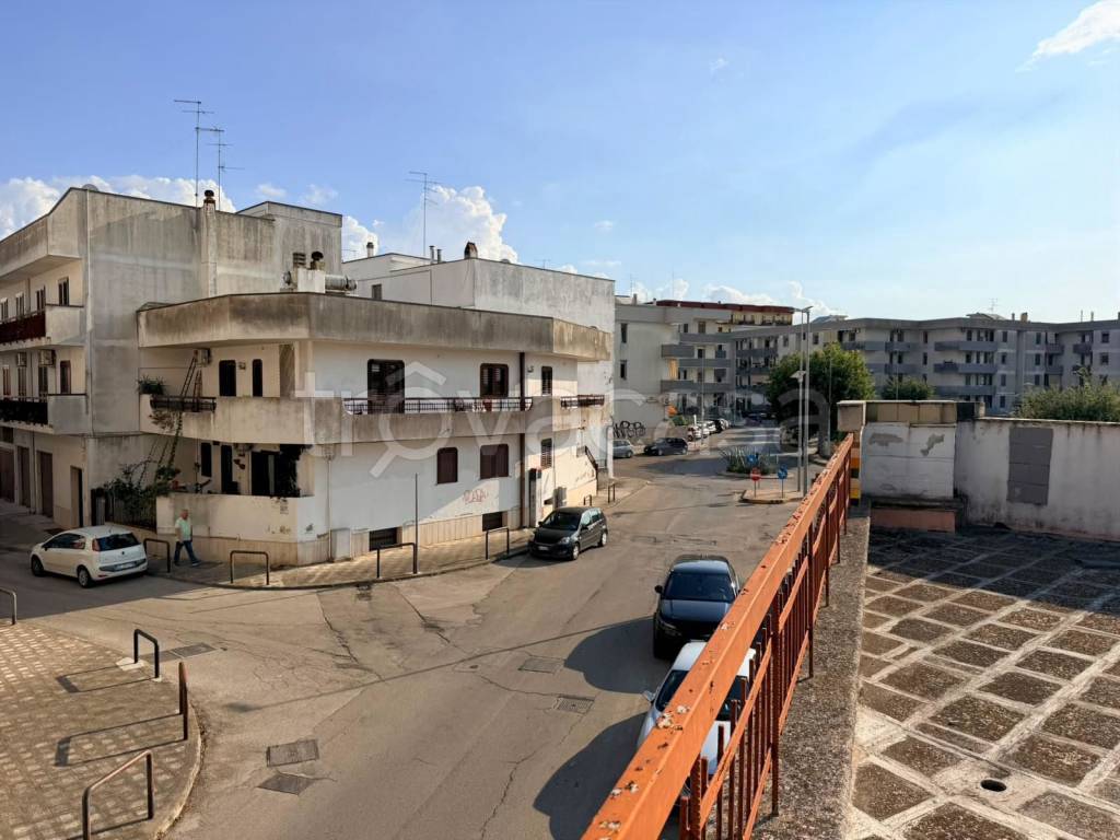 immagine annuncio 11 di 14