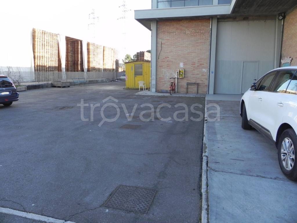 immagine annuncio 3 di 8
