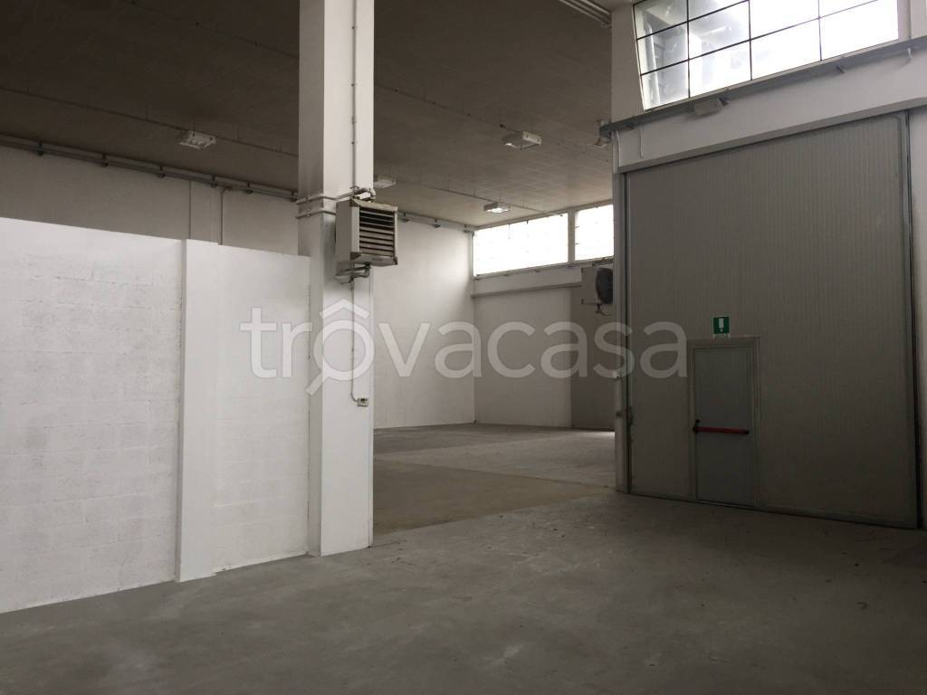 immagine annuncio 6 di 8