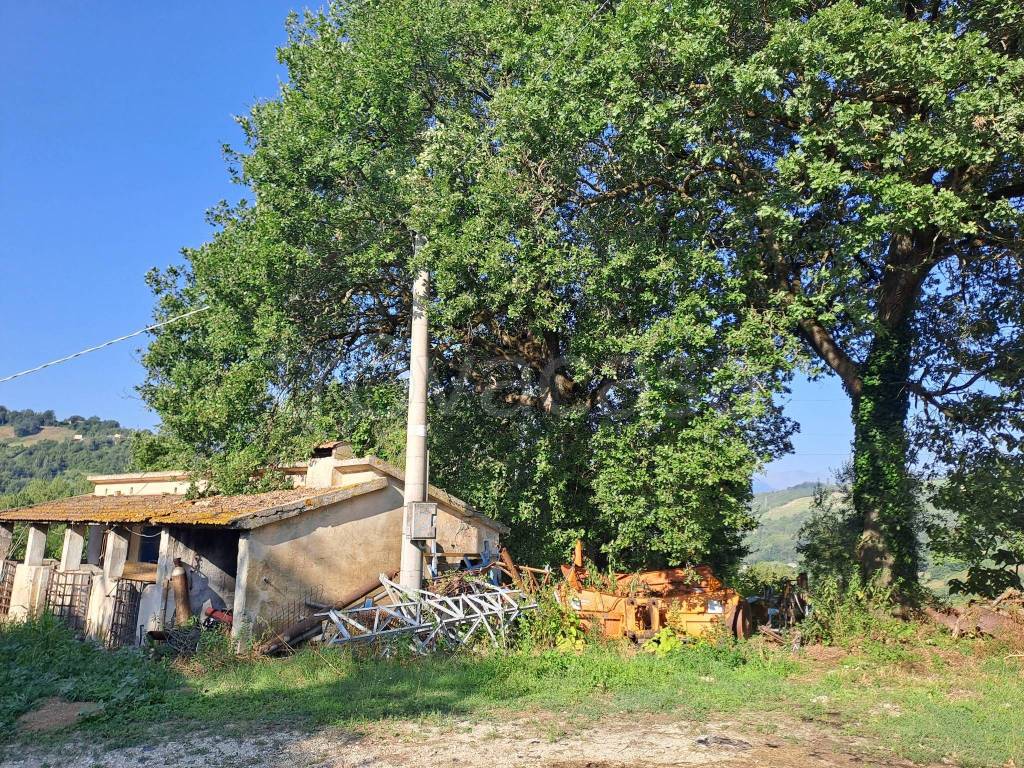 immagine annuncio 13 di 15