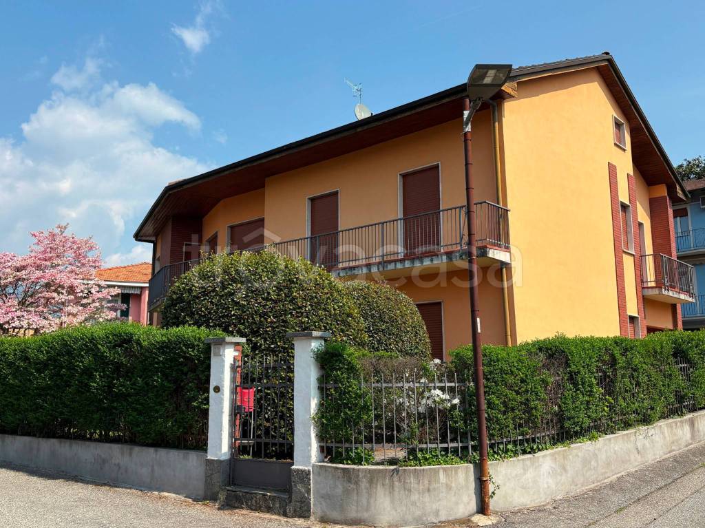 immagine annuncio 1 di 11
