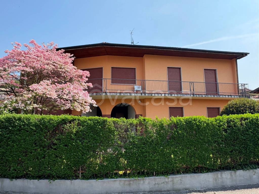 immagine annuncio 8 di 11