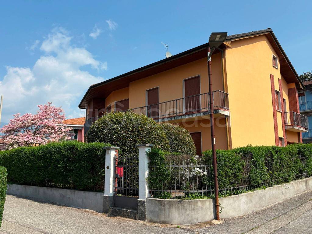 immagine annuncio 9 di 11