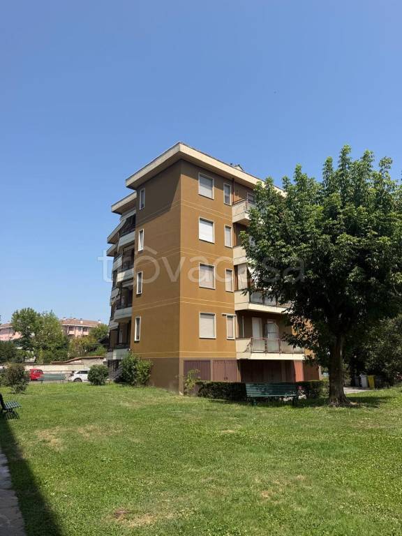 immagine annuncio 10 di 15