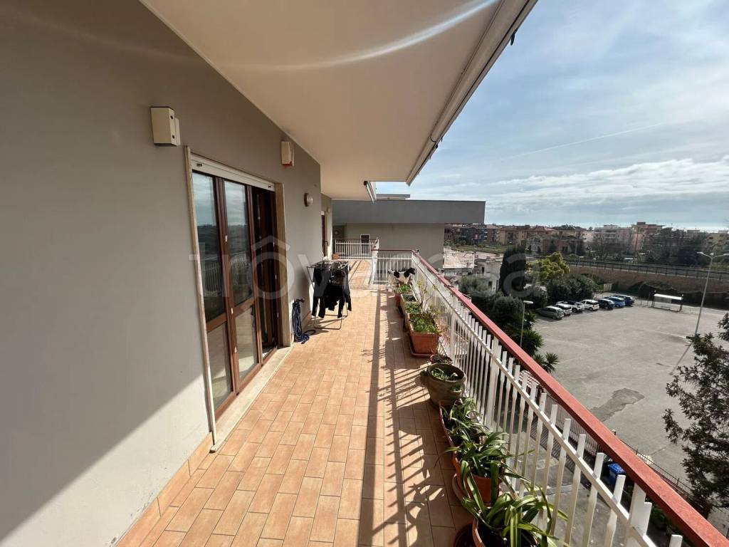 immagine annuncio 9 di 14