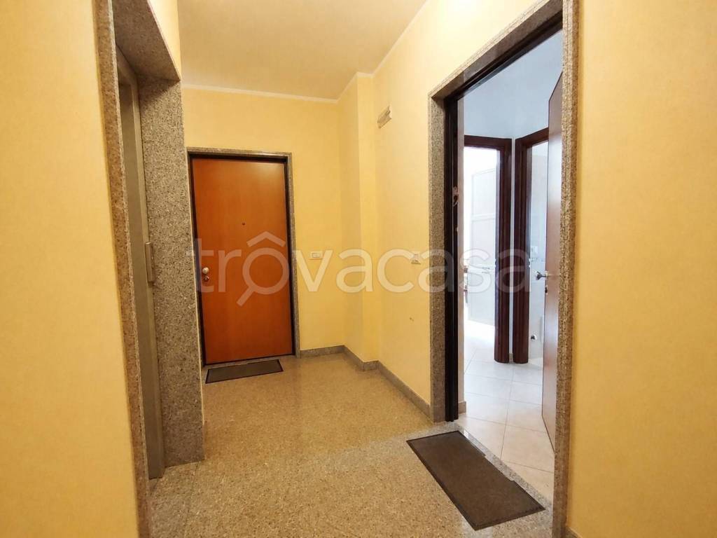 immagine annuncio 9 di 12