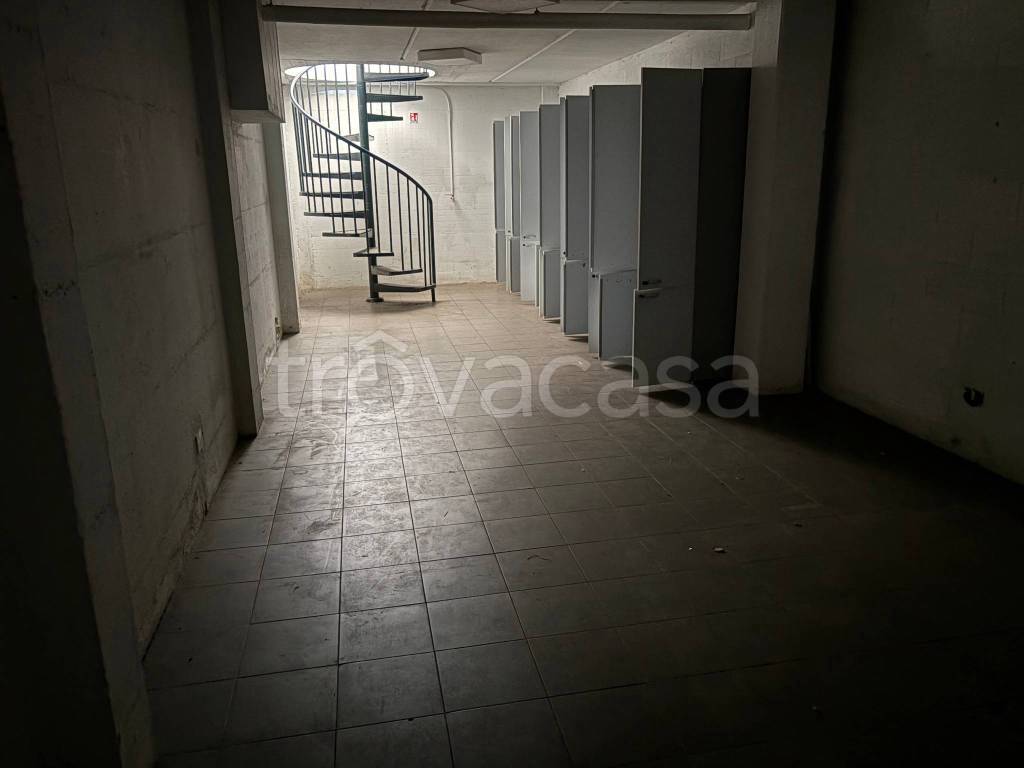 immagine annuncio 12 di 13