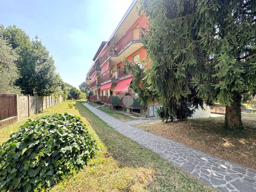 immagine annuncio 1 di 15