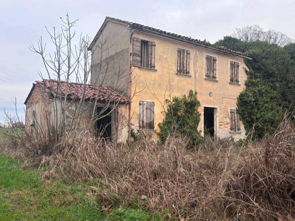 immagine annuncio 1 di 7