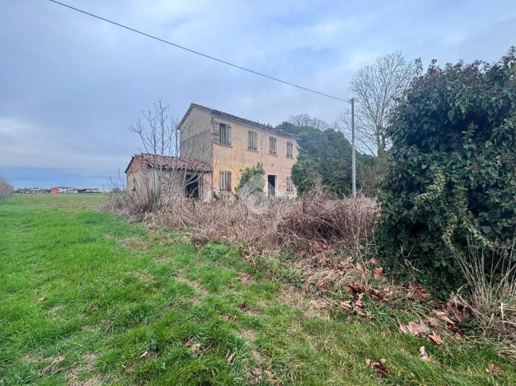 immagine annuncio 3 di 7