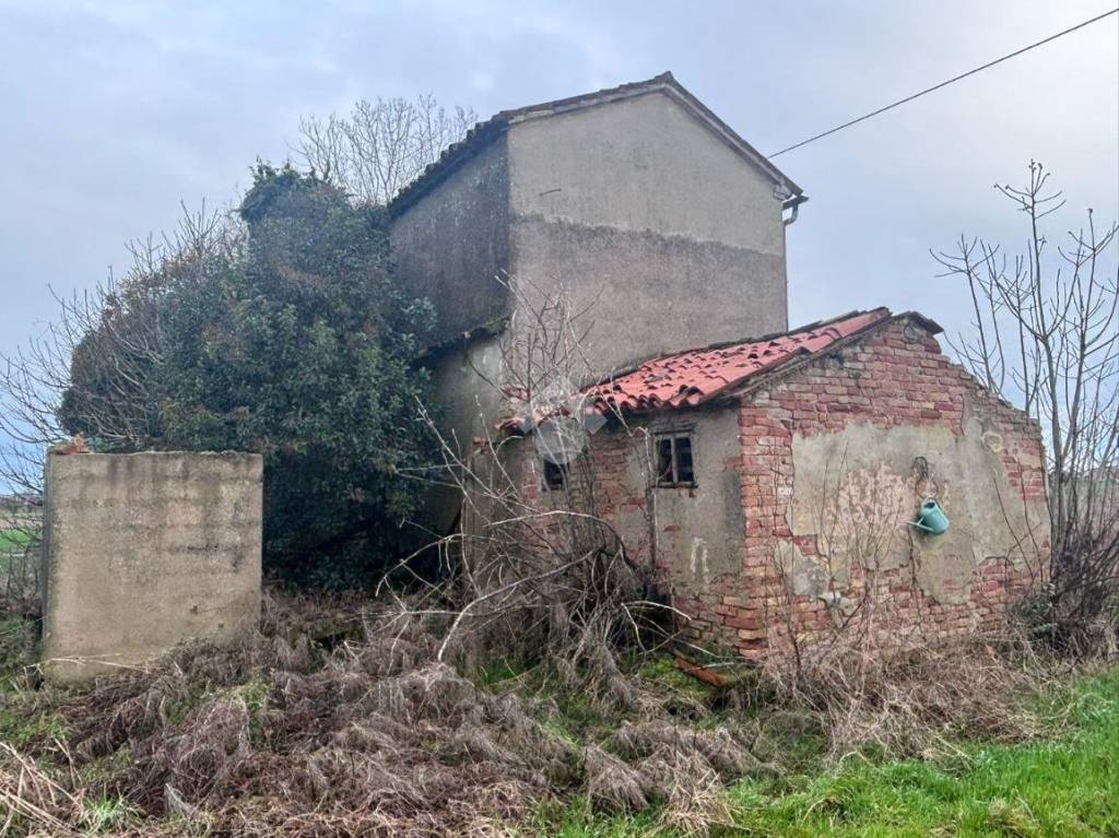immagine annuncio 5 di 7