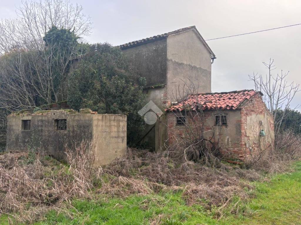 immagine annuncio 6 di 7