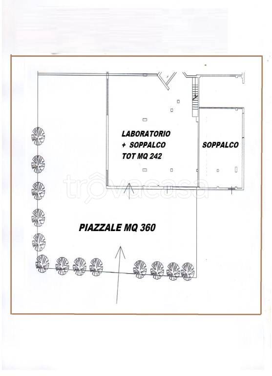 immagine annuncio 2 di 7