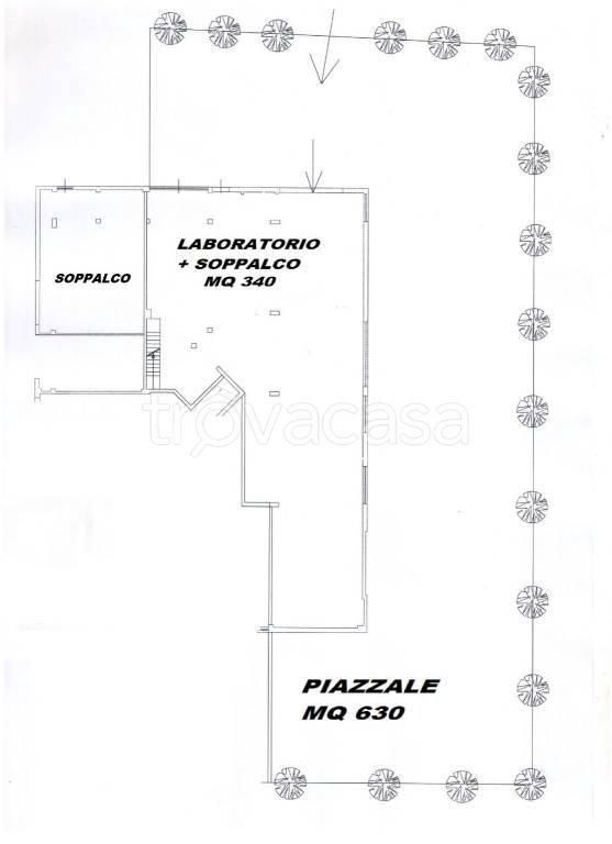 immagine annuncio 4 di 7