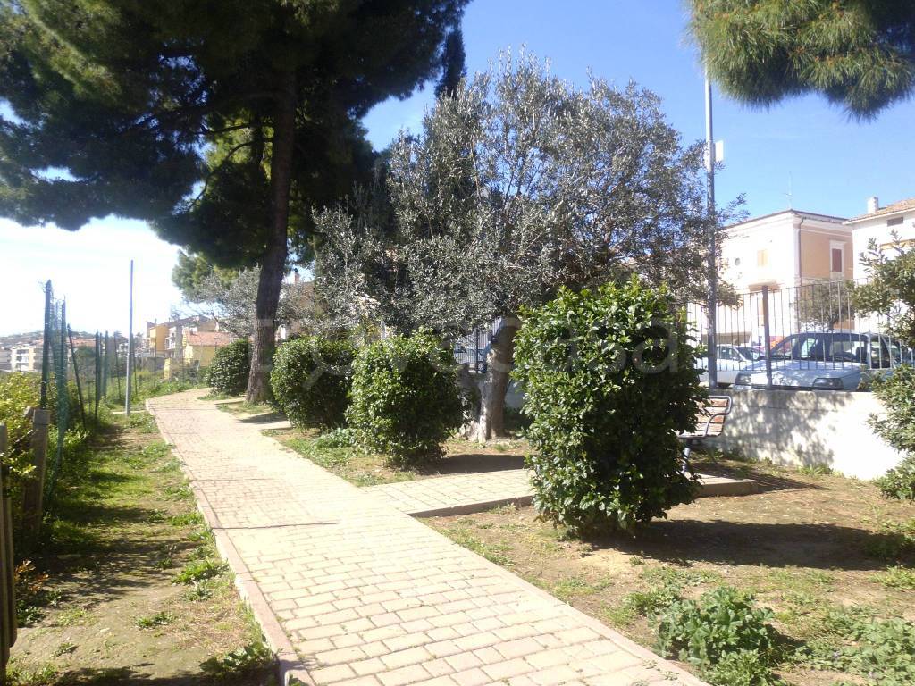 immagine annuncio 12 di 13