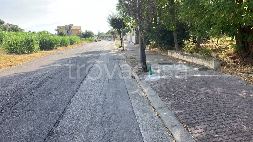 immagine annuncio 6 di 13