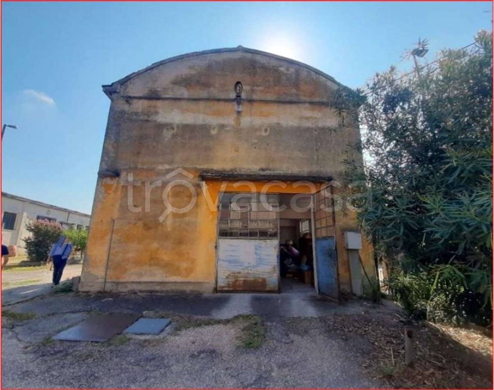 immagine annuncio 7 di 12