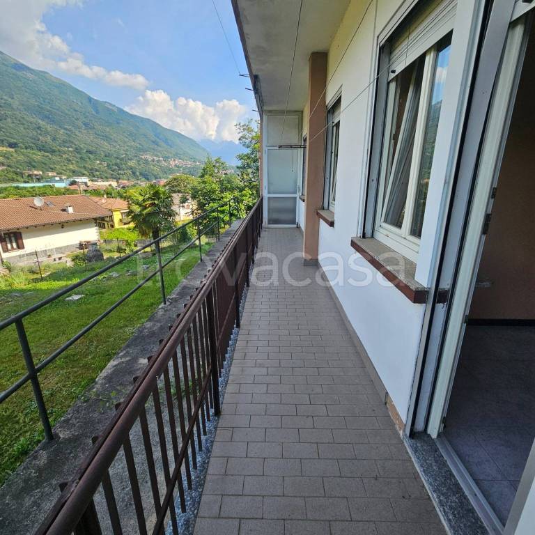 immagine annuncio 2 di 12