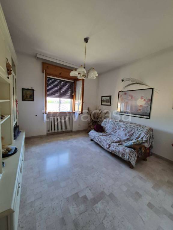 immagine annuncio 7 di 14