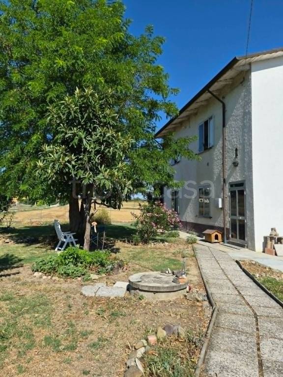 immagine annuncio 10 di 14