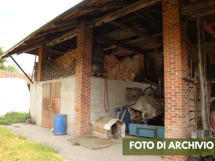immagine annuncio 12 di 15