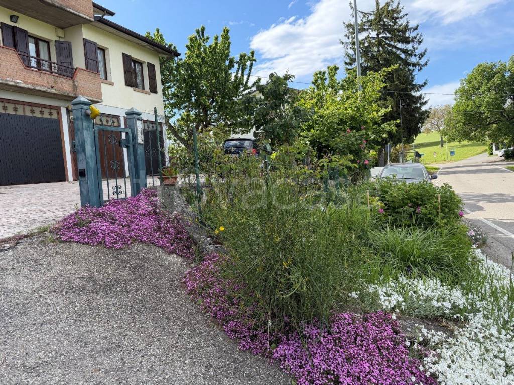 immagine annuncio 8 di 14