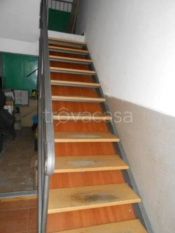 immagine annuncio 10 di 14