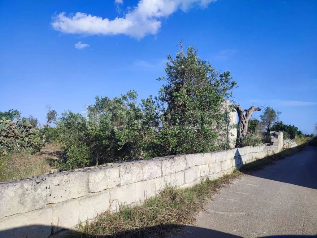 immagine annuncio 11 di 14