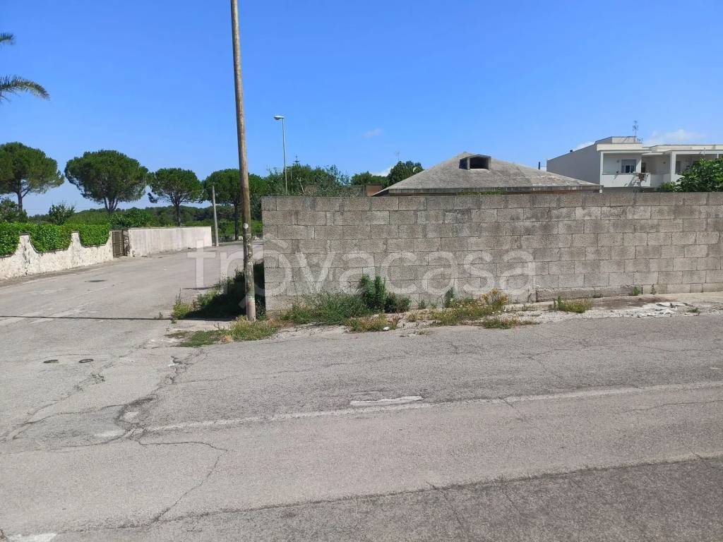 immagine annuncio 8 di 14
