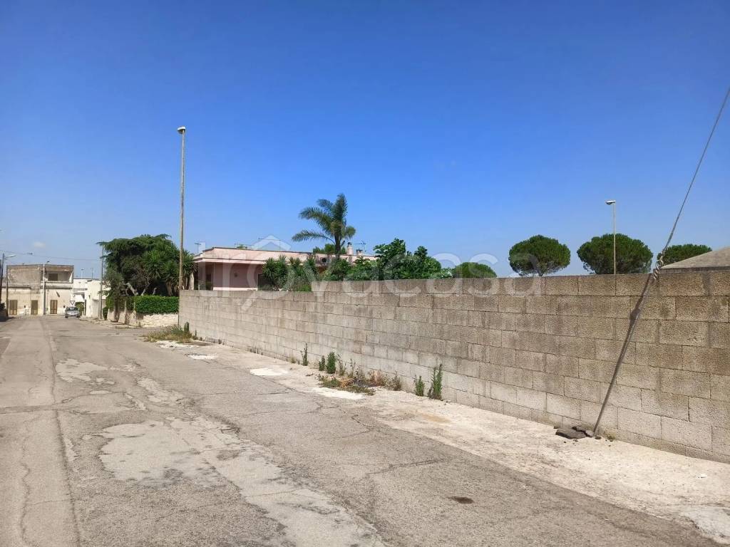 immagine annuncio 9 di 14