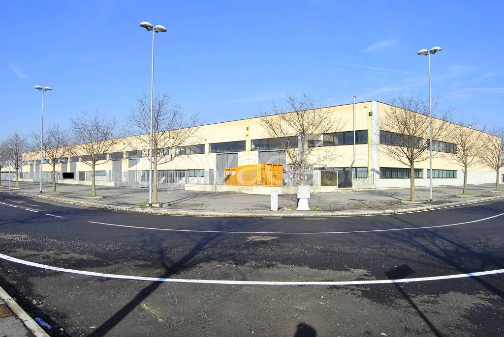 immagine annuncio 9 di 15