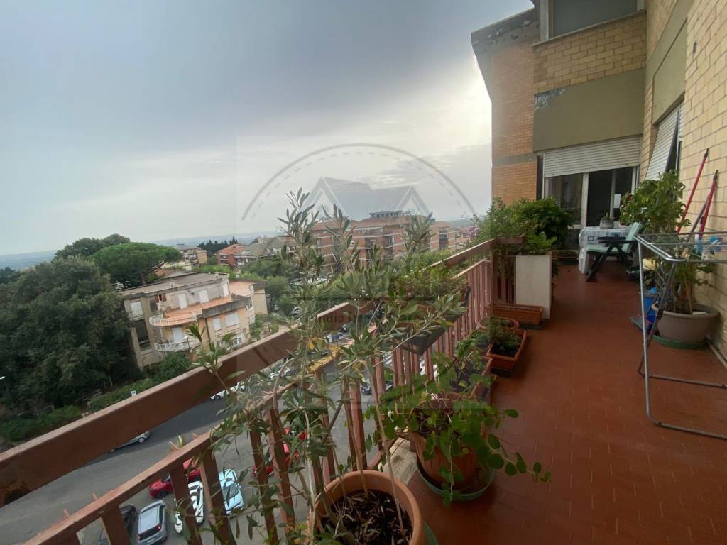immagine annuncio 12 di 14