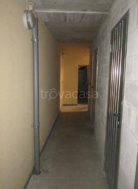 immagine annuncio 10 di 12