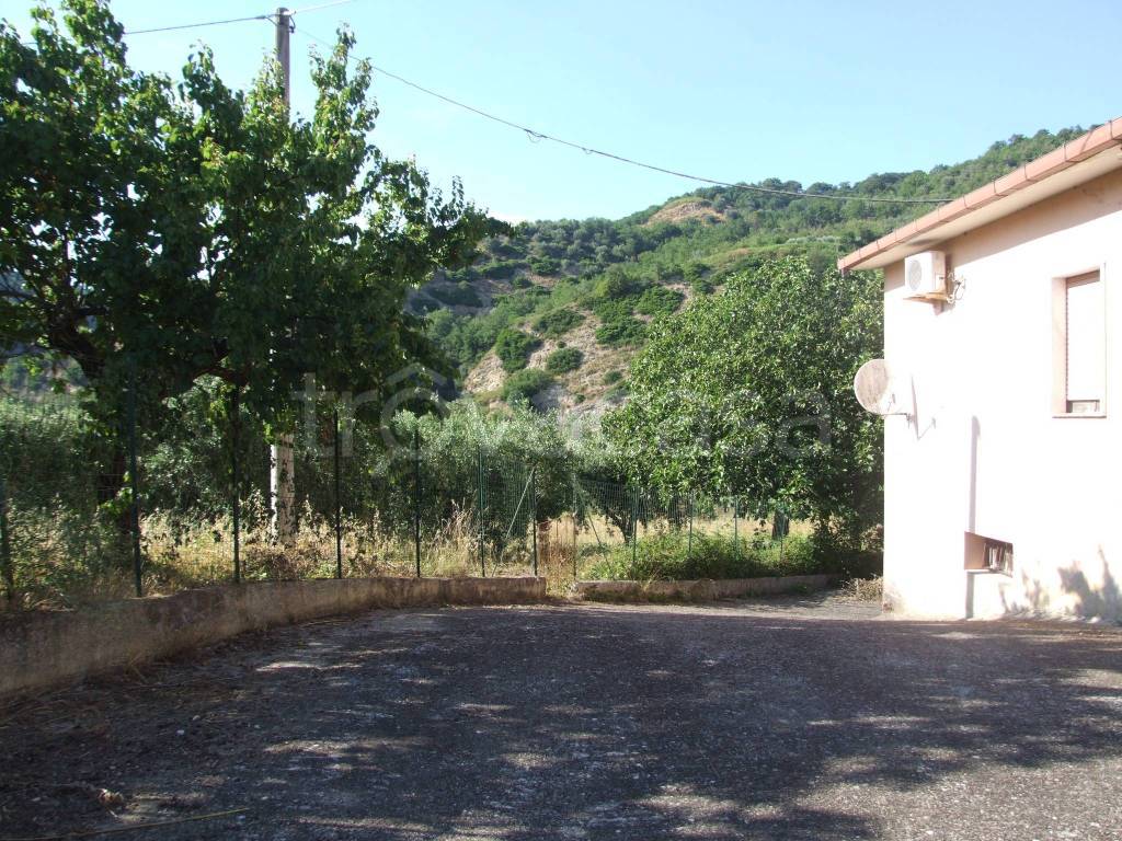 immagine annuncio 5 di 8