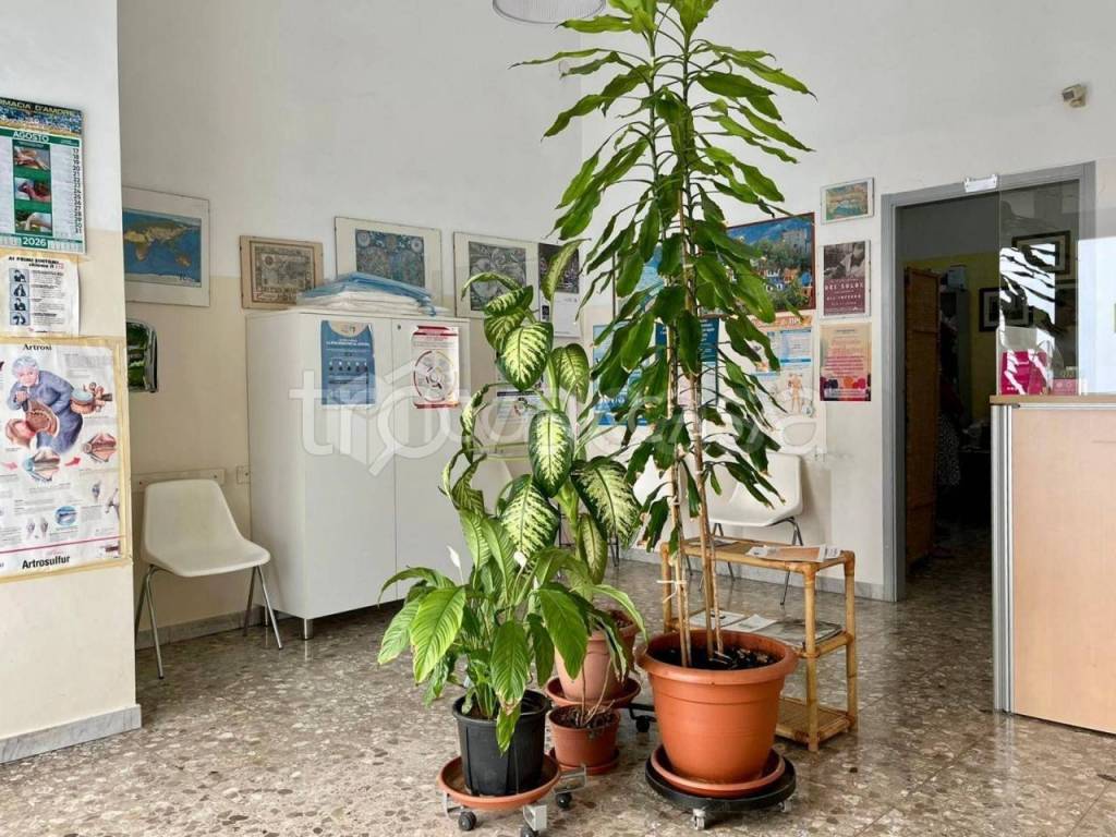 immagine annuncio 2 di 12