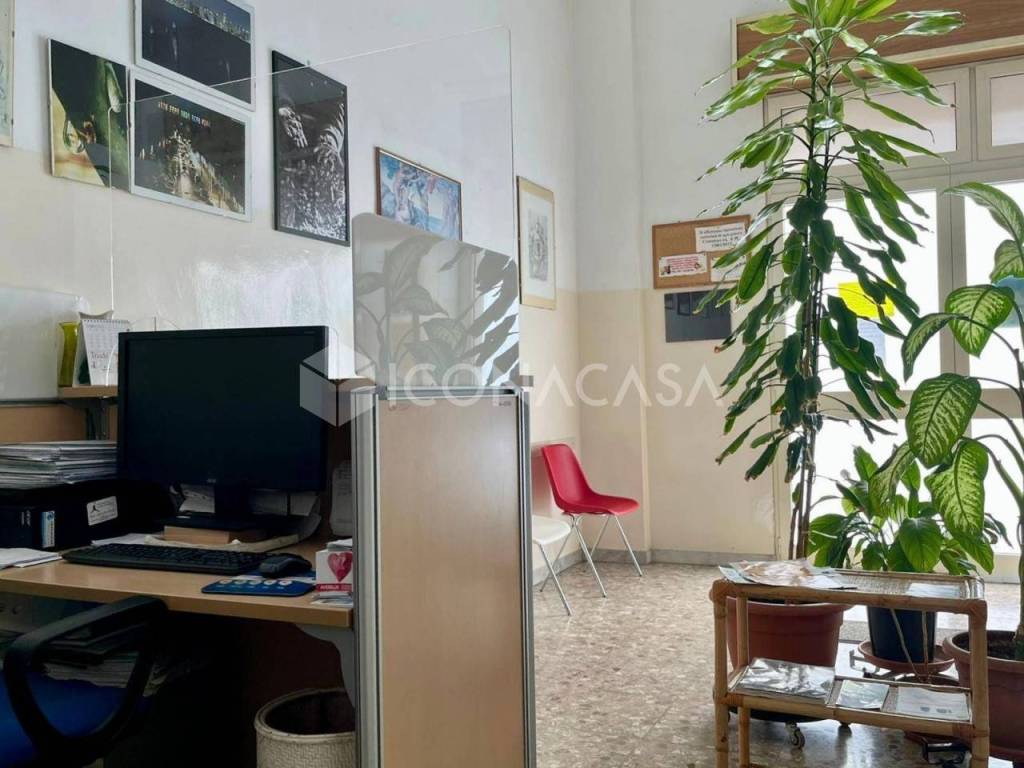 immagine annuncio 3 di 12