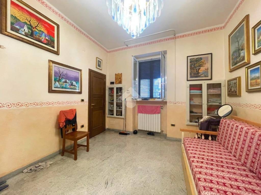 immagine annuncio 3 di 13