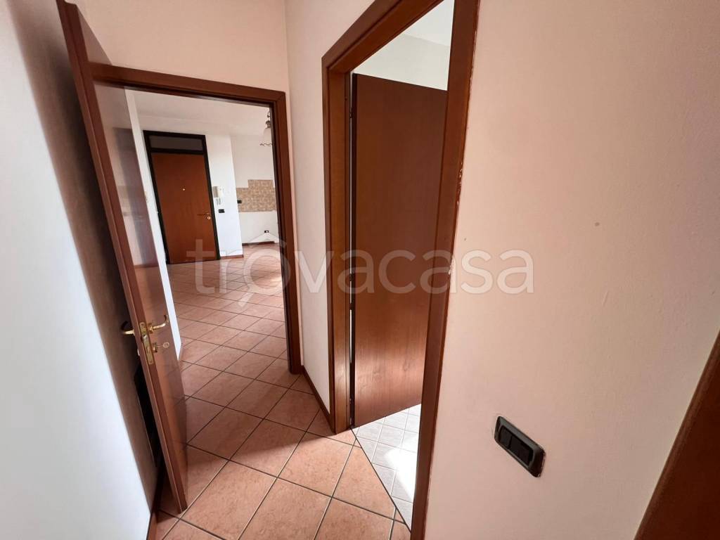 immagine annuncio 4 di 9