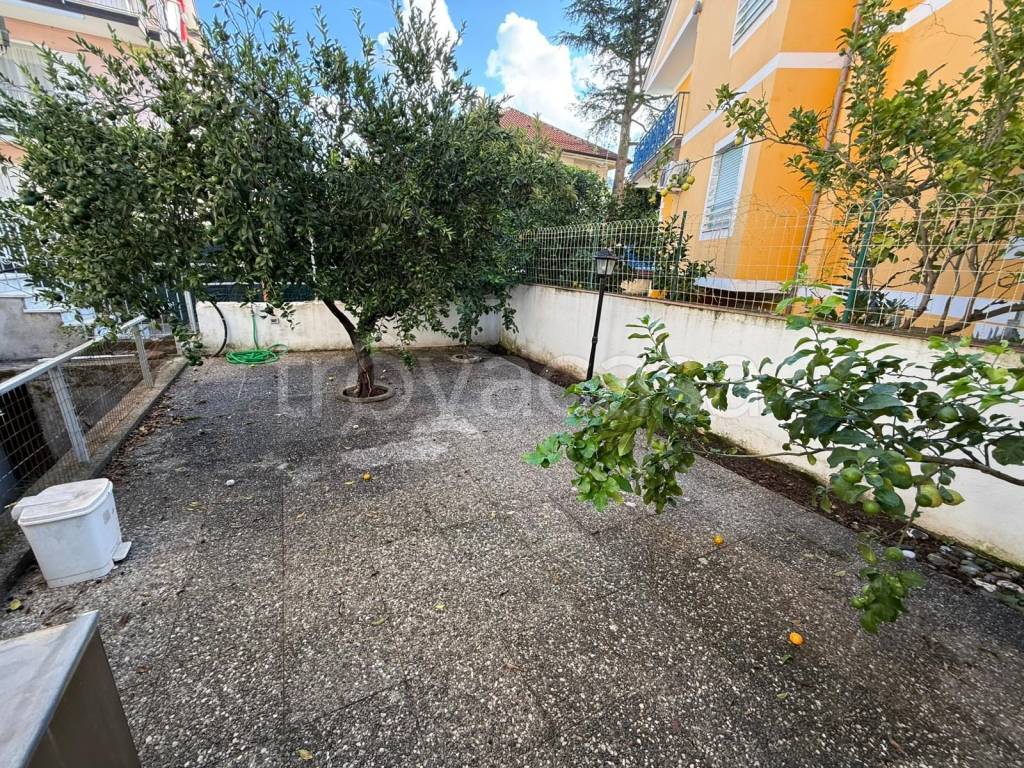immagine annuncio 7 di 12