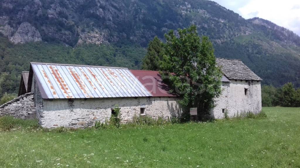 immagine annuncio 3 di 13