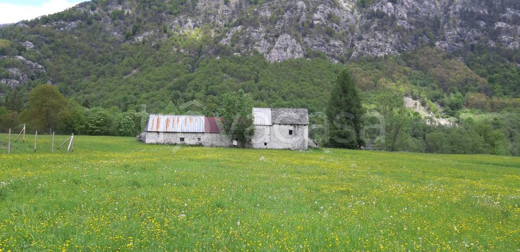 immagine annuncio 5 di 13