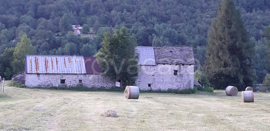 immagine annuncio 10 di 13