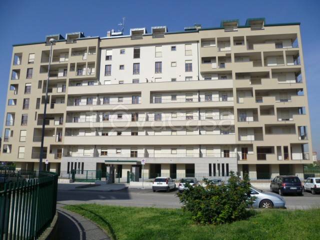 immagine annuncio 10 di 11