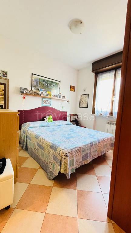 immagine annuncio 9 di 12