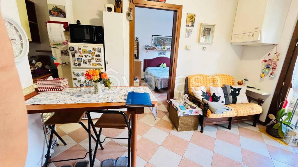 immagine annuncio 3 di 12