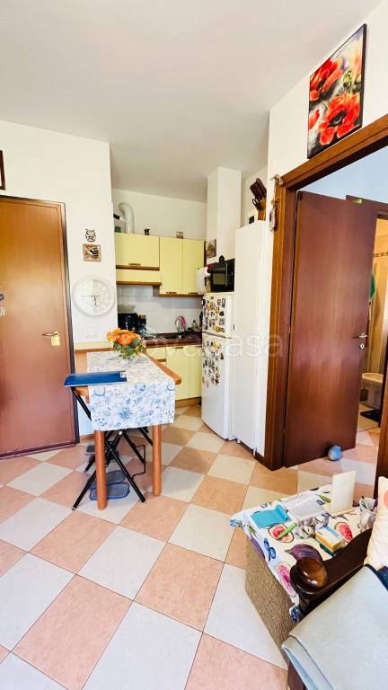 immagine annuncio 2 di 12