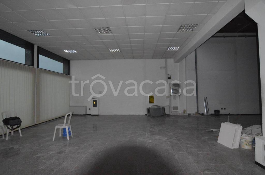 immagine annuncio 4 di 8