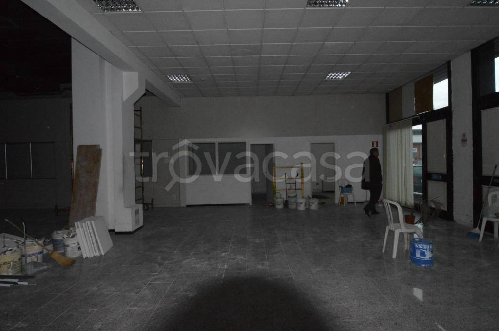 immagine annuncio 2 di 8