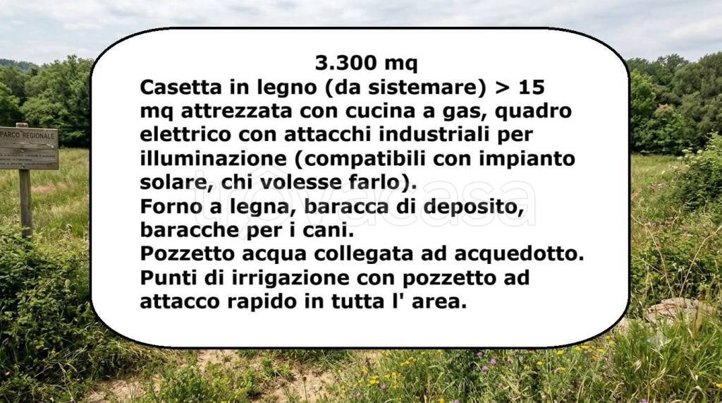 immagine annuncio 1 di 2